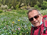 67 ed io mi godo lo spettacolo dei fiori multicolori